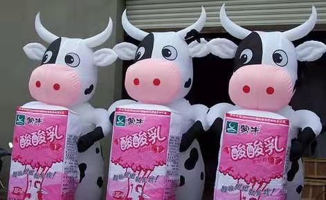 邵原镇牛奶包装广告气模